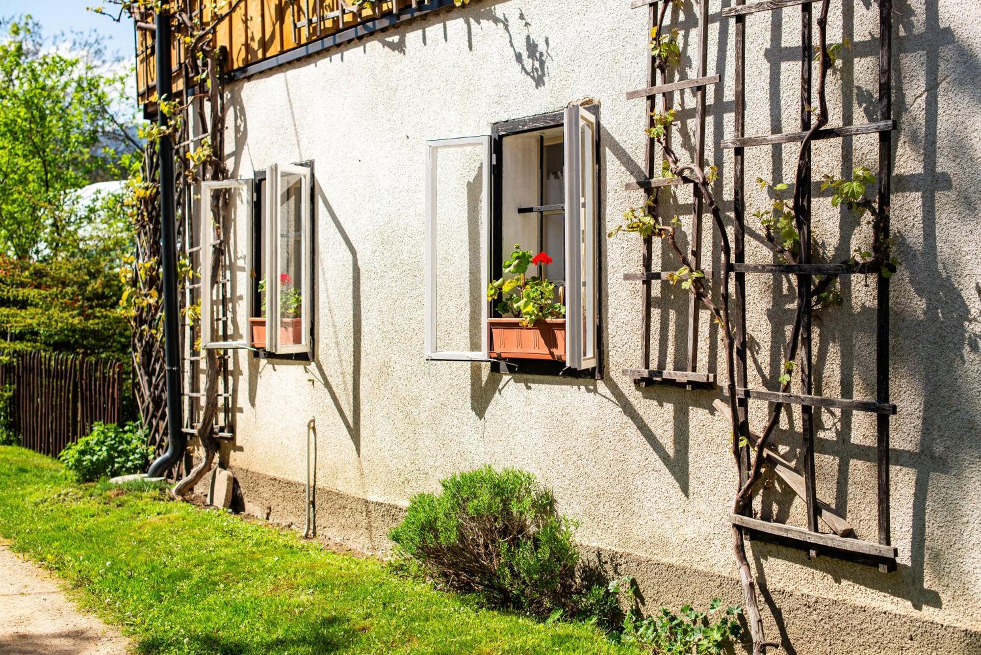 House, Garden And A Green Cat Bled Dış mekan fotoğraf