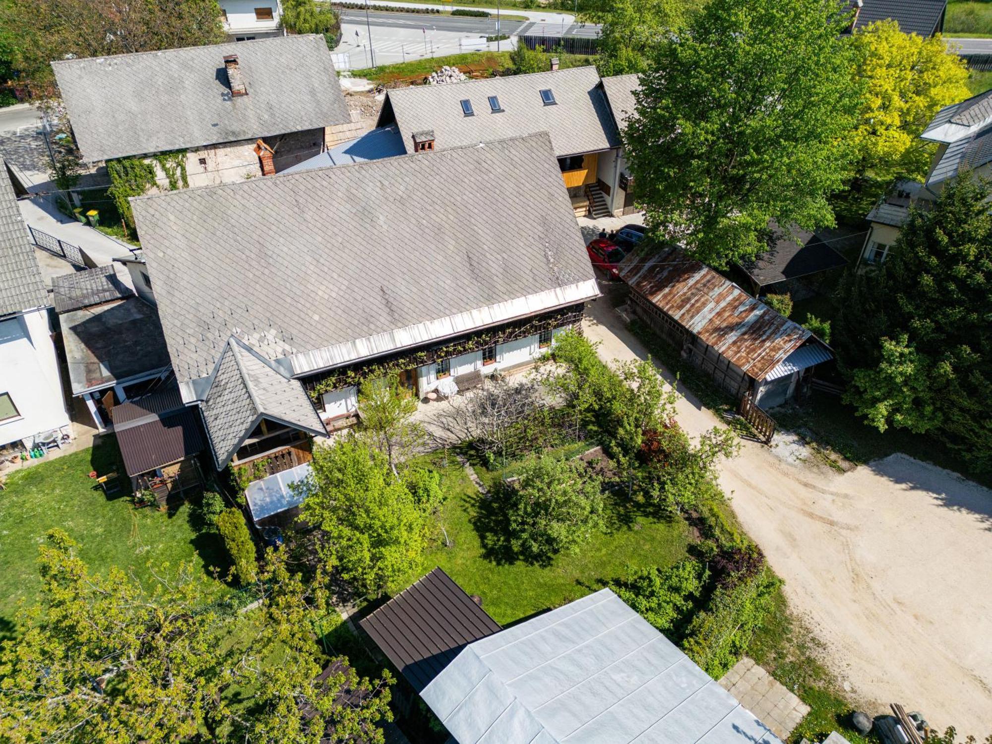 House, Garden And A Green Cat Bled Dış mekan fotoğraf