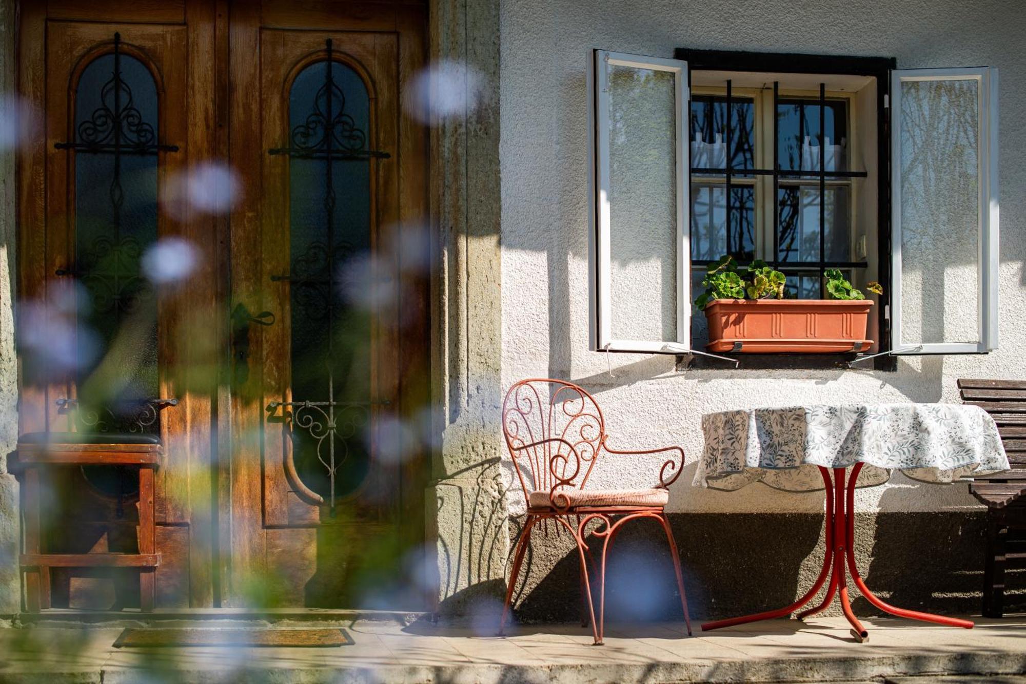 House, Garden And A Green Cat Bled Dış mekan fotoğraf