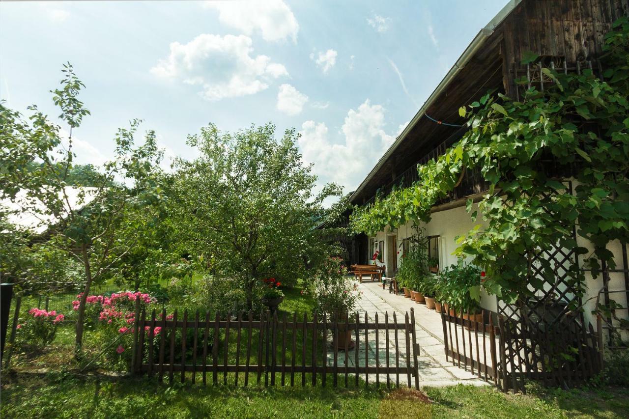 House, Garden And A Green Cat Bled Dış mekan fotoğraf